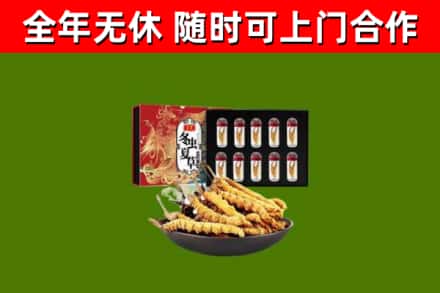 呼和浩特烟酒回收冬虫夏草礼盒.jpg